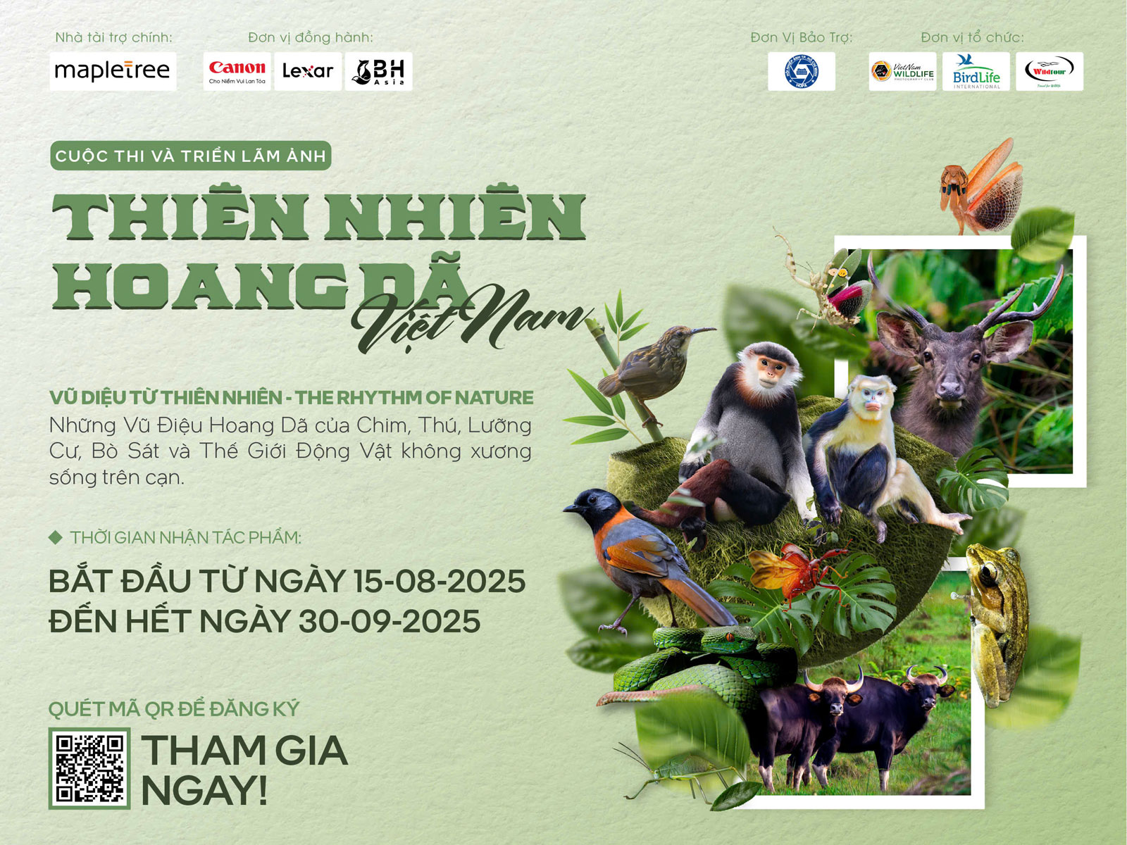 Cuộc thi ảnh "Thiên nhiên hoang dã Việt Nam 2025" (Hạn cuối nhận ảnh 30/9/2025)