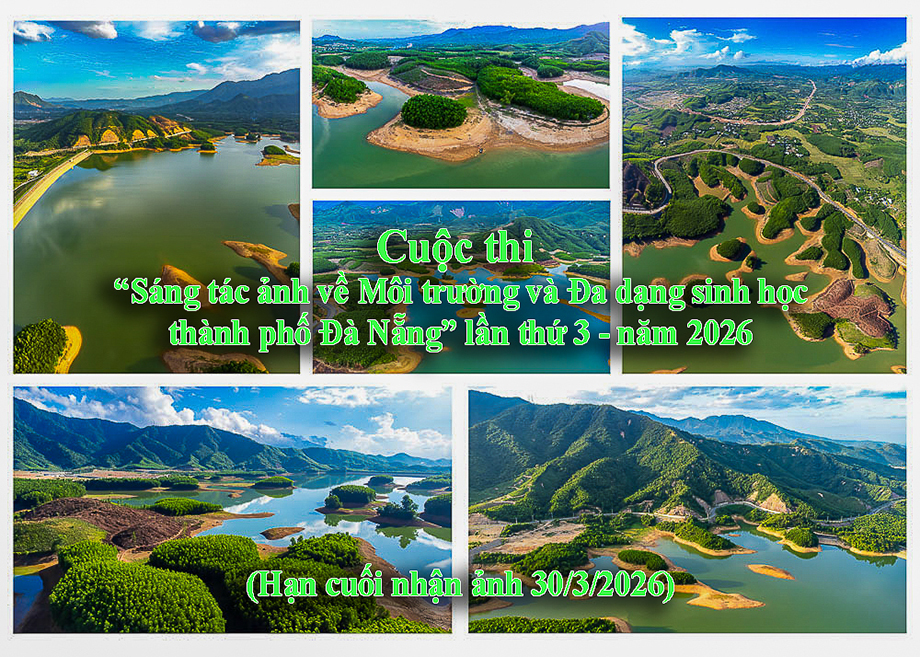 Thi Ảnh về Môi trường và Đa dạng sinh học Đà Nẵng lần thứ 3 năm 2026; hạn cuối nhận ảnh 30/3/2026.